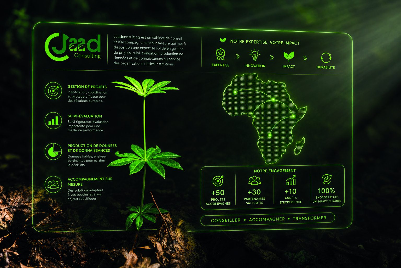 Plaquette JAAD Consulting : expertise, innovation, impact, durabilité — présence en Afrique de l'Ouest