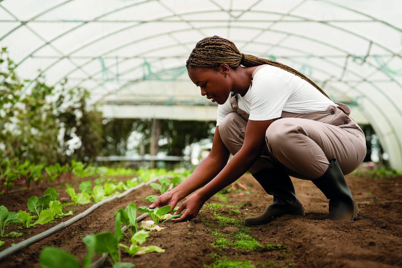 Travail de terrain dans une exploitation agricole
